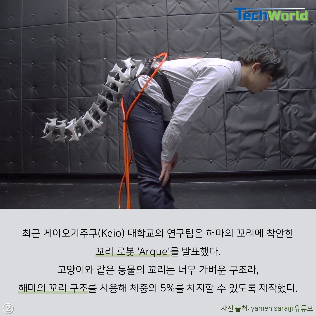 생활Tech] 생물을 본따 만든 생체모방기술 < 가젯·컨슈머 < 라이프 < 기사본문 - 테크월드뉴스 - 선연수 기자