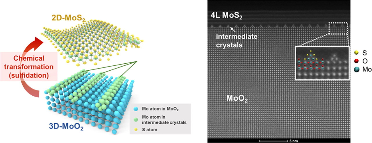 상변이 모식도(왼쪽)와 고분해능 투과전자현미경 사진
