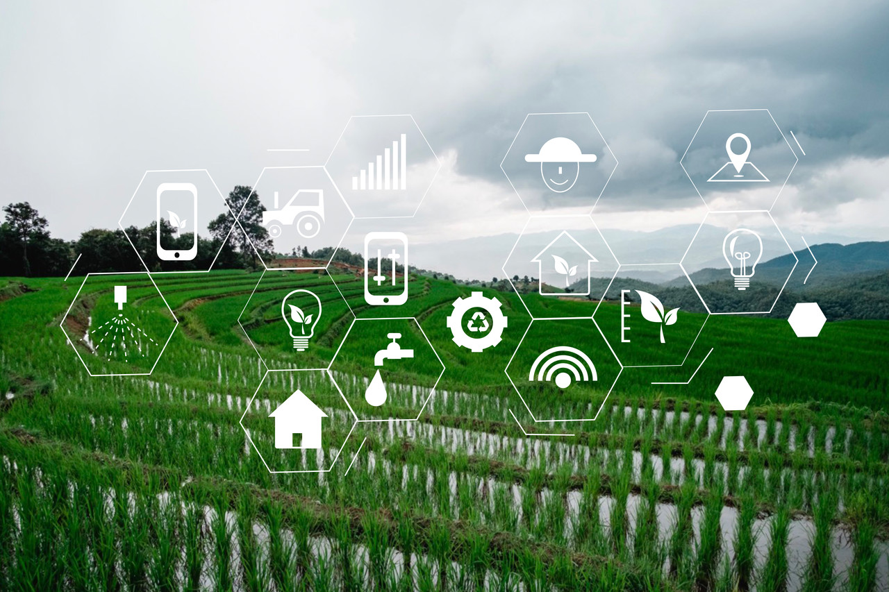 농업 분야의 IoT 기술