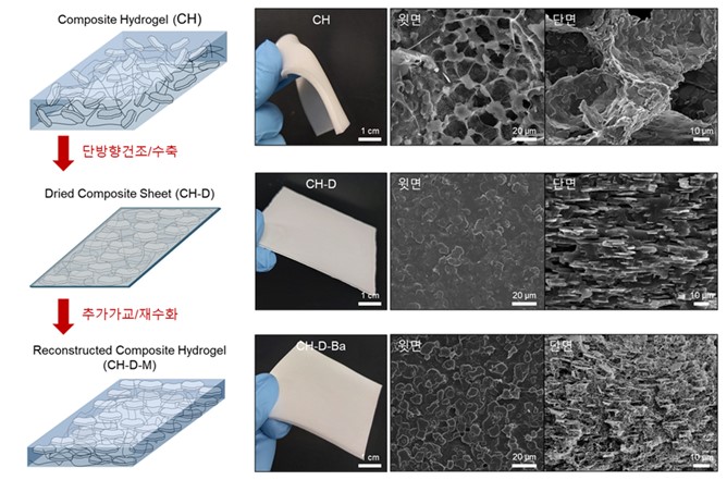 자연모사 고분자무기입자 복합 층상구조 하이드로겔 제작과정과 구조 
