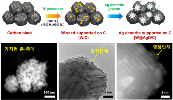 ▲ 가지 형태 은-촉매의 합성 개요도와 전자현미경 이미지