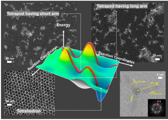 인공원자 반응경로 제어