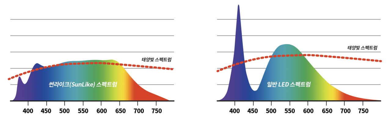썬라이크(왼쪽)와 일반 LED(오른쪽)의 스펙트럼 비교