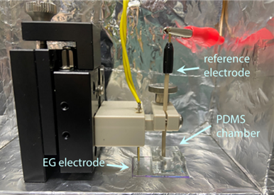 KIST, 고려대 공동연구진이 개발한 세포막-FET 바이오센서