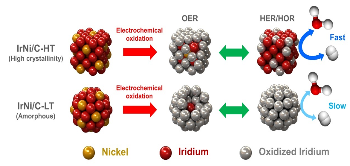 물산화 반응 후 수소 산화 반응. 수소 생성 반응 시에 결정성 이리듐 나노 촉매 표면의 산화층의 형태 변화 개요도