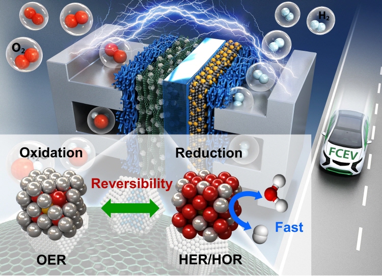 결정성 이리듐 나노 촉매 표면에서의 비화물/비산화물 가역성 원리 설명 개요도(OER: 산소 발생 반응, HER: 수소 발생 반응)