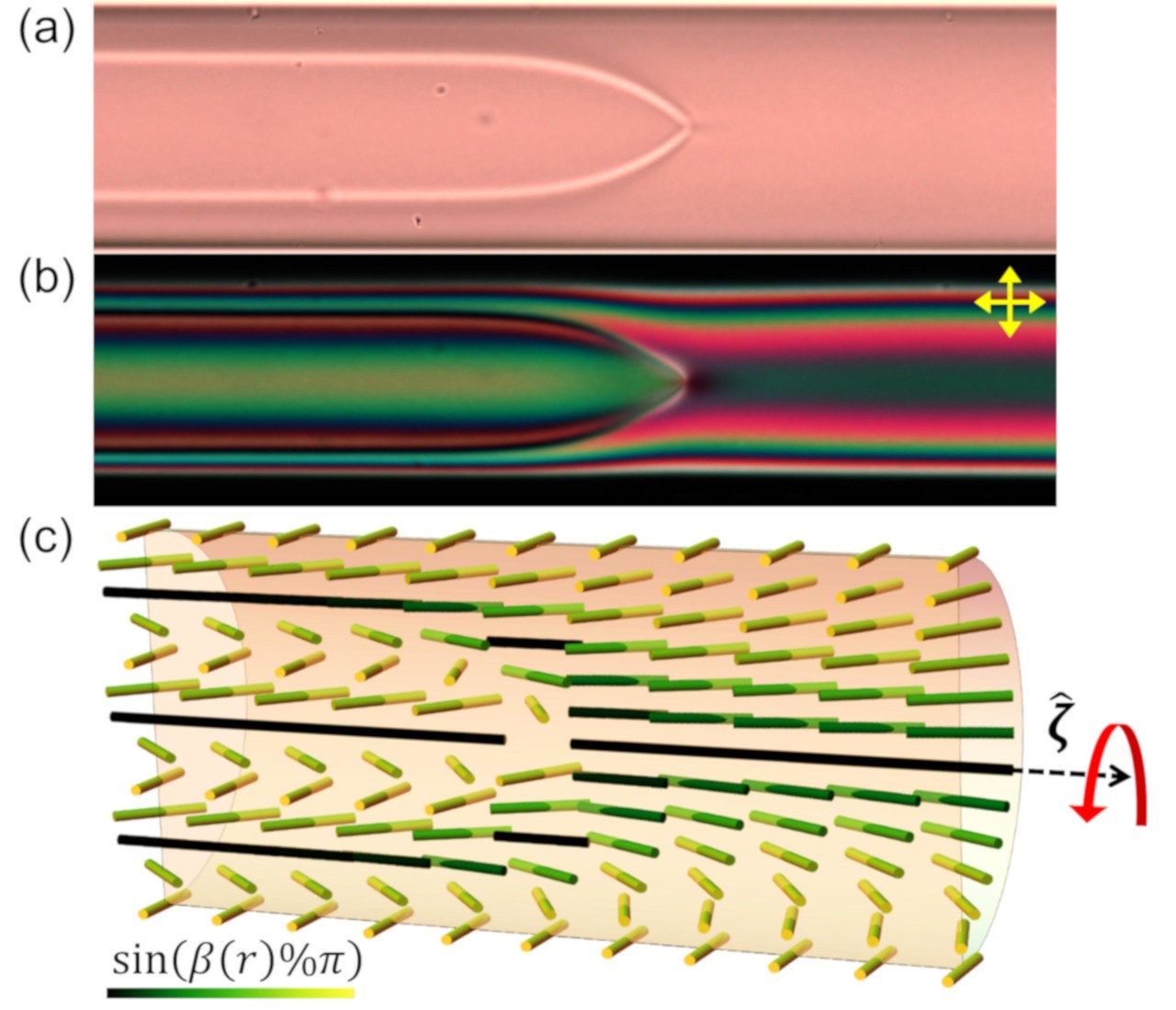 모세관에 갇혀있는 카이랄 크로모닉 액정의 구조를 편광 현미경을 이용해 관찰함(a, b). 3%의 알라닌(카이랄 첨가물)이 크로모닉 액정에 첨가된 액정 시료를 편광기 없이 두 편광기를 서로 교차(+)한 후 찍은 이미지. a에서의 밝은 두 선이 만나는 점이 위상학적 결함. (c) 시뮬레이션으로 획득한 액정 방향자의 비틀림 구조(a와 대응). 각각의 막대들은 액정 방향자(액정 분자 집합)를 의미하며, 막대 색깔은 비틀림 정도를 나타냄.