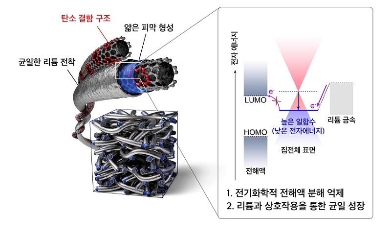 높은 일함수를 가지는 탄소 결함 구조 표면을 통한 전해액 분해 억제·균일한 리튬 금속 성장