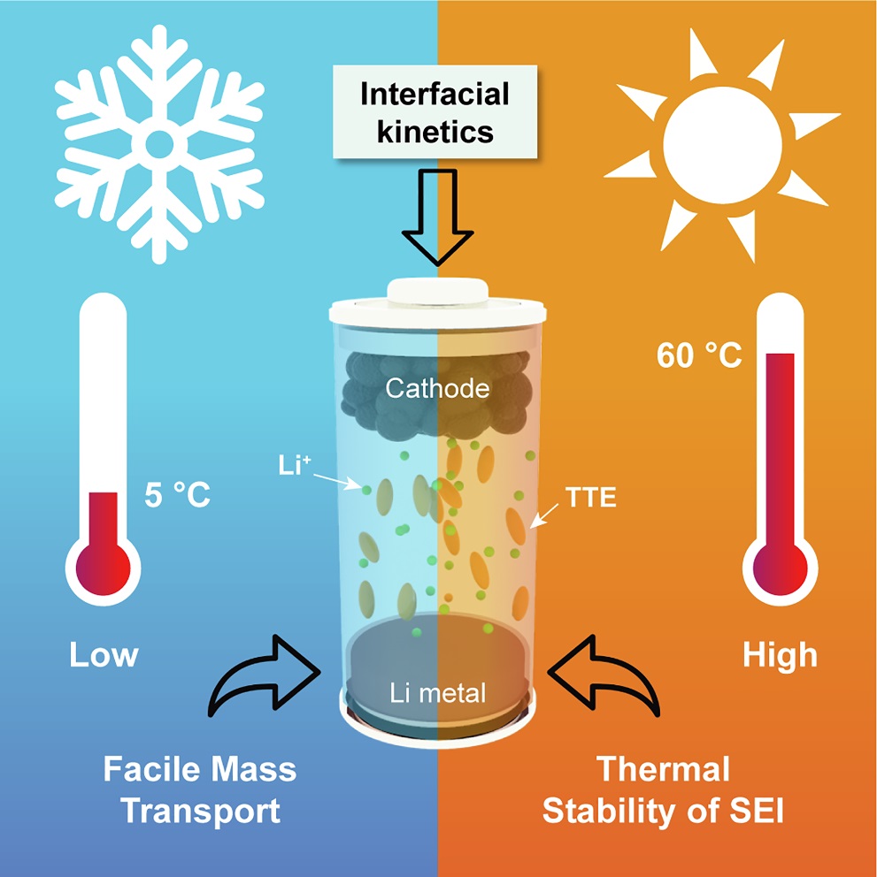 넓은 온도범위에서 리튬 음극 성능을 결정하는 유사 고농도 전해질 인자