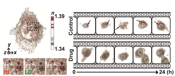 이성수박사 연구성과_퇴행성 질환세포의 실시간 굴절률 분석을 통한 표적나노물질의 효용성 검증