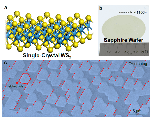 절연체 위에서 이황화텅스텐이 성장하는 모습. 단결정 이황화텅스텐을 사파이어 웨이퍼 위에서 O2 에칭 후 합성한 광학 이미지