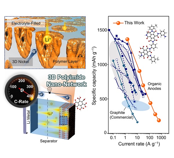 3차원 고분자 나노 네트워크 기반 리튬유기전지 모식도 및 율특성의 획기적인 향상