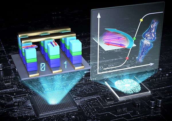반강자성 기반 스핀 소자 응용(왼쪽)과 멀티레벨을 활용한 뇌 모사 컴퓨팅 응용 모식도
