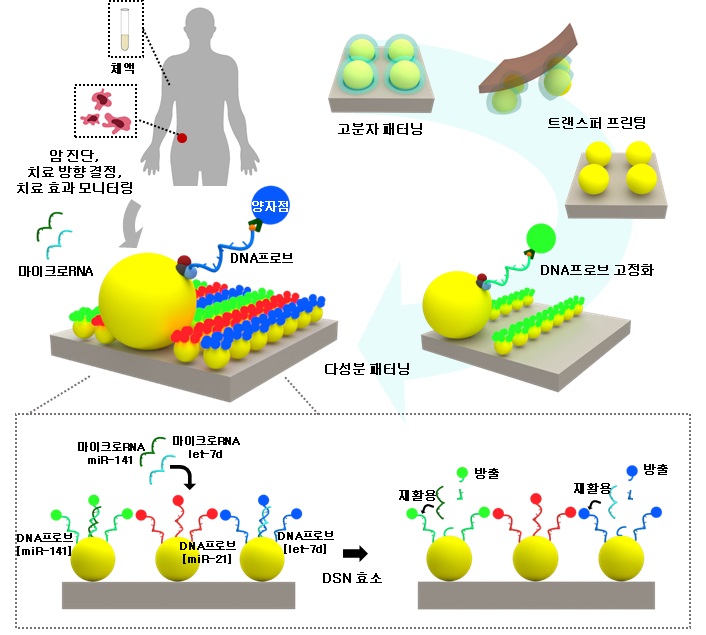 마이크로RNA 다중 검출을 위한 다색 양자점 어레이 모식도