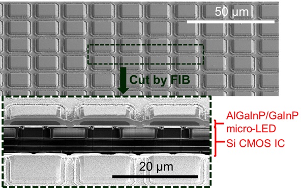 이번 연구에서 제작한 Si CMOS 기판상 적색 발광 다이오드 단면 주사현미경 이미지
