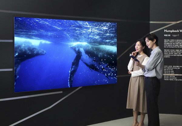 삼성전자 모델이 파라다이스 아트 스페이스 'Whales and I: 고래와 나' 전시에서 Neo QLED 8K를 통해 고래의 삶을 감상하는 모습 [사진=삼성전자]