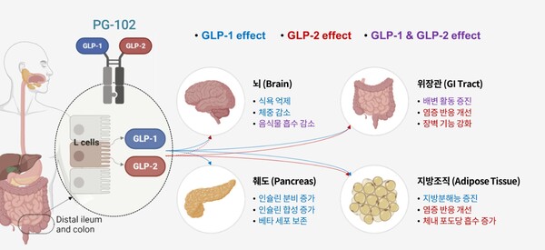 glp-1  Substantial and Durable glycemic control ; Incretin-based therapy"     