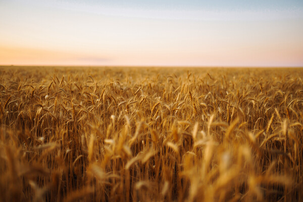 [사진=게티이미지뱅크]